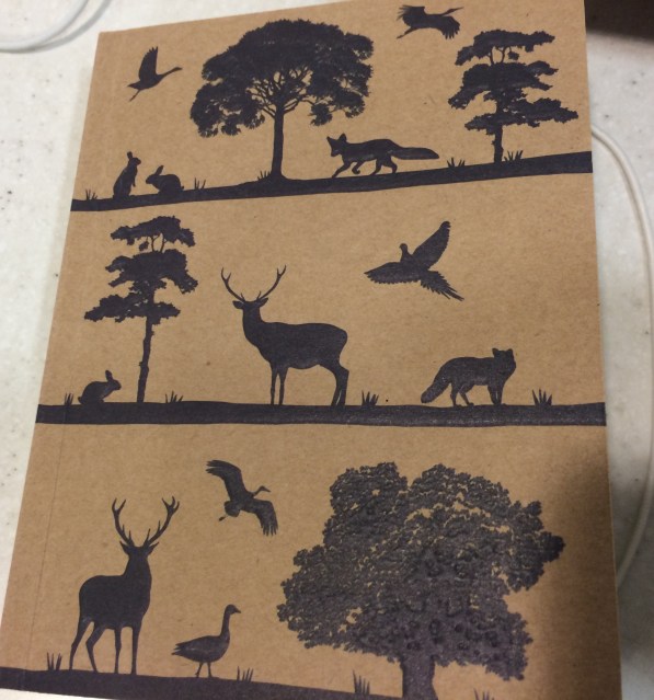 NaNoWriMo My New Notepad