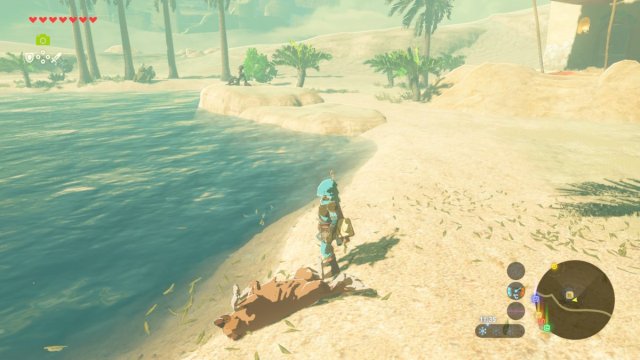 doggo thinks he's a fisho.jpg